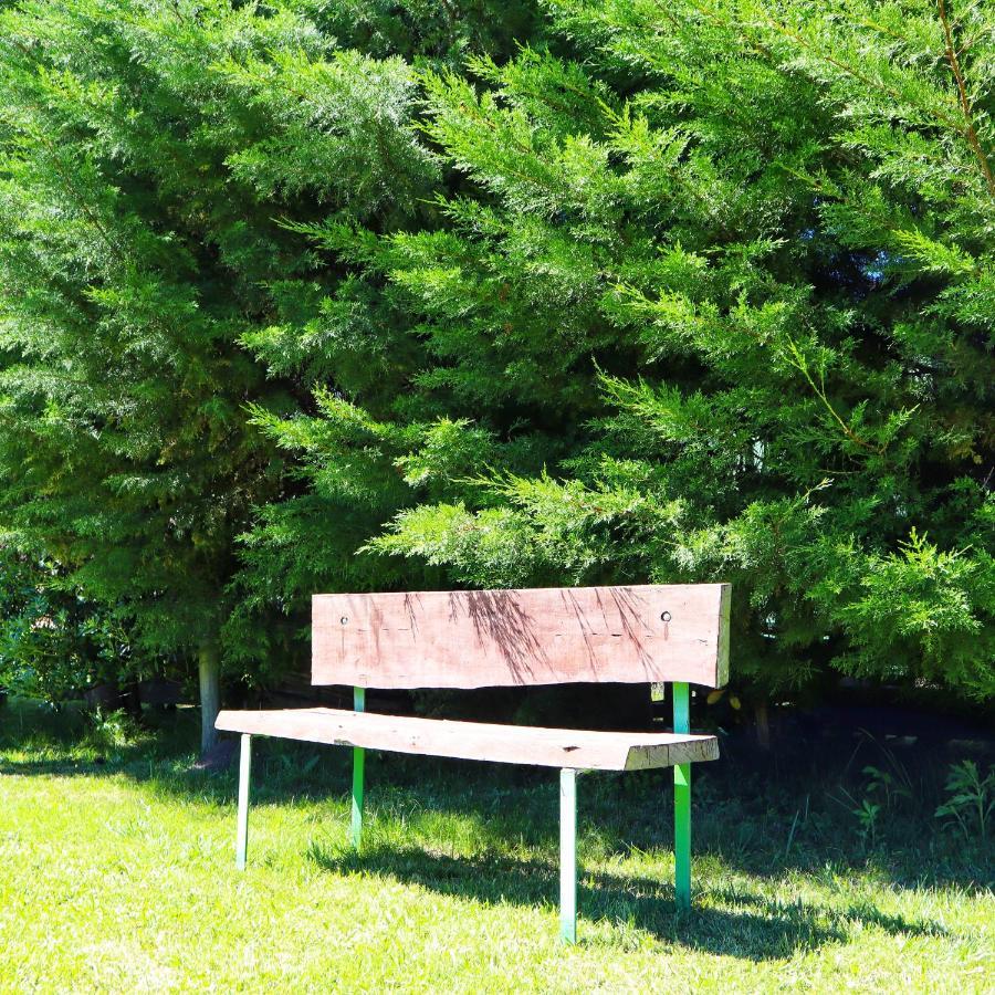 Casa De Campo Lo De Fatsia 콜로니아델사크라멘토 외부 사진
